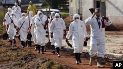 Volunteers, wearing protective gears, are on their way to clean streets covered with toxic red sludge in Hungary, Wednesday, Oct. 13, 2010.