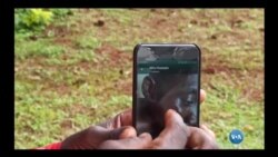 Violência política no Malawi