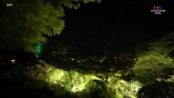 Բնությունն ու արվեստը միավորվել են հիասքանց ստեղծագործության մեջ. Ճապոնիա