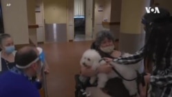 治療犬幫助療養院居民脫離孤獨的痛苦
