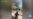 Afghan City in Panic After News of Taliban Advance