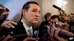 El senador Ted Cruz y sus colegas republicanos ven DACA como una amnistía y consideran que no es legal y es un error.