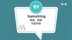 学个词 - hamstring