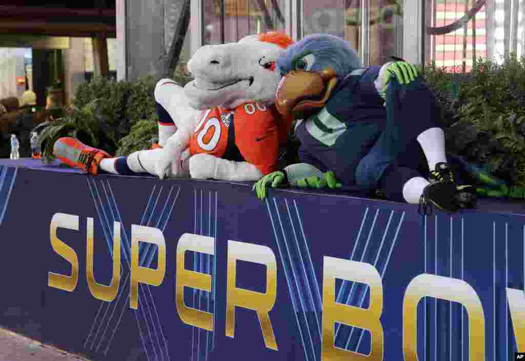 Blitz (kanan), maskot Seattle Seahawks, duduk bersama Miles, maskot Denver Broncos (31/1) di Times Square di New York. (AP/Ted S. Warren)