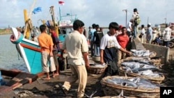 An Acehnese man unloads fish from fishing boats in Banda Aceh on the Indonesian island of Sumatra (file photo)