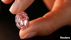 Berlian "The Spirit of the Rose", berlian ungu-merah muda terbesar di dunia terjual seharga $26.6 juta atau setara Rp 408 miliar lebih, di Jenewa, 11 November 2020. 