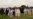 Roughly 30 Yazidi Bodies Exhumed in Iraq
