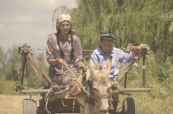 A young Aziz Isa Elkun and his mother ride in a cart in Xinjiang, China, in "An Unanswered Telephone Call." (Courtesy Aziz Isa Elkun)