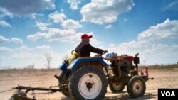 Once generaciones y 378 años después, sus descendientes están hartos de las tareas y las fatigas del campo.