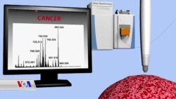 Pênûsek Taybet Bo Destnîşankirina Penceşêrê
