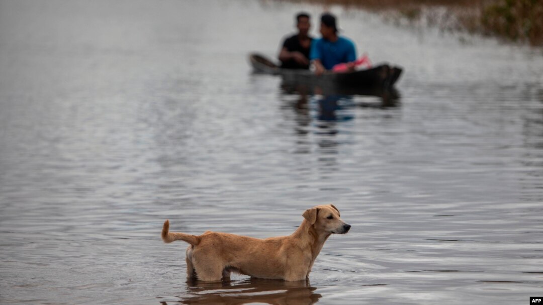 A dog looks on as people cross a flooded road in a canoe caused by River Wawa Boom after the passage of Hurricane Iota in Bilwi, Puerto Cabezas, Nicaragua on Nov. 18, 2020.