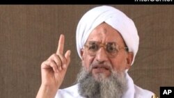 په خپله ایمن الظواهري څه موده مخکې د طالبانو له مشر سره بیعت وکړ