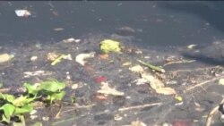 Dünyanın En Kirli Bölgeleri