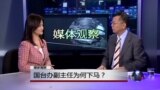 媒体观察：国台办副主任为何下马？