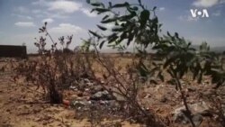 Tigray Graves -- USAGM