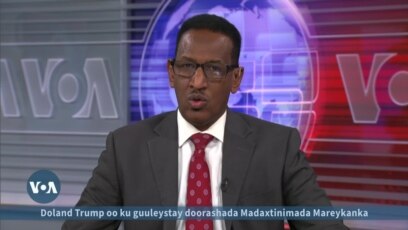 Sidee looga falciyey guusha Donald Trump?
