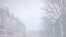A dog is seen in a blizzard in St. John's, Newfoundland and Labrador, Canada, Jan. 17, 2020, in this image obtained from social media.