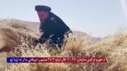  د خوړو او کرنې سازمان: د راتلونکي کال لپاره ۳۸.۳ میلیون ډالر ملاتړ ته اړتیا لري