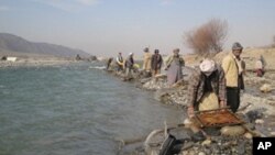 د ضلعې نيول کېدو په مهال څلور امنيتي عسکر او يو شمېر طالبان هم وژل شوي دي .