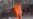 Chinese Report Blames Exiled Monk for Self-Immolations