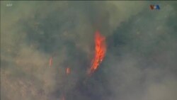 اخبار شامگاهی