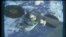 VOA英語視頻: NASA設計呼吸機貨運飛船離開國際太空站