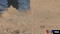 美國西部乾旱持續 引發農人擔憂