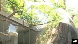 Futuristic Addition Adorns Traditional Beijing Courtyard Home 