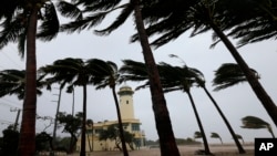 Palm trees blow in the wind near the Haulover Park Ocean Rescue Lifeguard Station at as Hurricane Irma passes by, Sunday, Sept. 10, 2017, in North Miami Beach, Fla. (AP Photo/Wilfredo Lee)