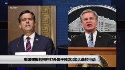美国情报机构严打外国干预2020大选的行动
