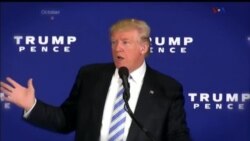 اخبار شامگاهی