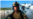 16x9 Image