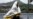 Stuck on France-Italy Border, African Migrants Ponder Next Move