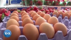Etats-Unis: le prix des œufs monte en flèche