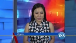 နေ့စဉ် တီဗွီသတင်းလွှာ (၁၁-၀၆-၂၀၂၀) 