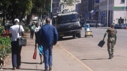 Udaba Esilethulwe NguMavis Gama