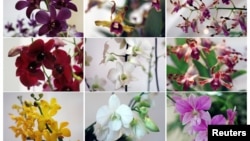 A combination photo shows the VIP orchids named after politicians and dignitaries at Singapore Botanic Gardens' National Orchid Garden June 6, 2018.