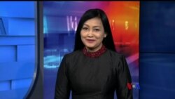 နေ့စဉ် တီဗွီသတင်းလွှာ (၁၁-၁၉-၂၀၁၉)