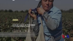 Uzbekistan-Cotton Campaign: Time for Cooperation?