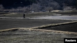 A man walks between fallow rice fields in Miyakoji in Tamura, Fukushima prefecture, April 1, 2014.