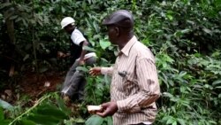 Guineans More Trusting of Doctors, Hospitals Since Ebola