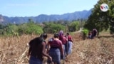 EMD 07 06 21 Artesanas guatemaltecas y Levi’s se unen por los inmigrantes en la frontera