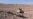 Hezbollah, Syrian Forces Say Close to Ousting IS From Border
