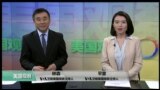 美国观察2017年11月21日