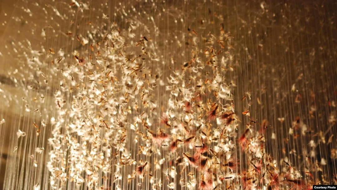 The artist enjoys working with monofilament fishing line, which she used here to suspend thousands of fishing flies (Photo: B. Lace)