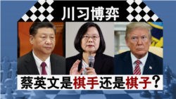 海峡论谈：川习博弈 蔡英文是棋手还是棋子？