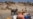 UN Says Thousands of Eritrean Refugees in Tigray Dying as Access to Aid Remains Blocked