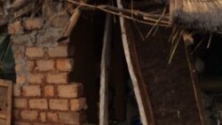 Udaba Esilethulwe NguNompumelelo Moyo