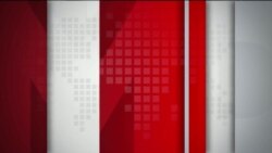 El Mundo al Día: 08/11/21