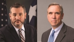共和党参议员泰德·克鲁兹(左)与民主党参议员杰夫·默克利(右)